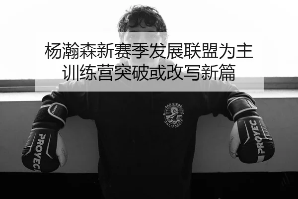 杨瀚森新赛季发展联盟为主 训练营突破或改写新篇
