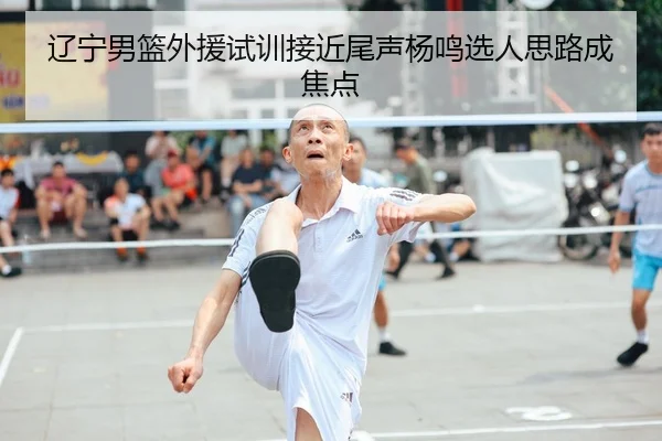 辽宁男篮外援试训接近尾声杨鸣选人思路成焦点